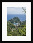 View of Portofino by Anonymous
