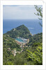 View of Portofino by Anonymous