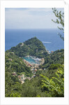 View of Portofino by Anonymous