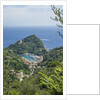 View of Portofino by Anonymous