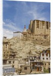 View of the town and the Royal Palace by Anonymous