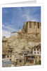 View of the town and the Royal Palace by Anonymous