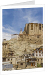 View of the town and the Royal Palace by Anonymous