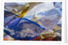 Shanti Stupa by Anonymous