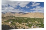View of the town from the Palace by Anonymous