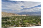 Panoramic view of the town from Shanti Stupa by Anonymous