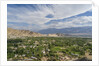 Panoramic view of the town from Shanti Stupa by Anonymous