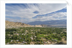 Panoramic view of the town from Shanti Stupa by Anonymous