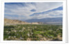Panoramic view of the town from Shanti Stupa by Anonymous