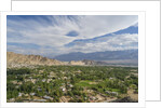 Panoramic view of the town from Shanti Stupa by Anonymous