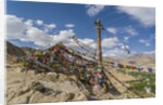 Shanti Stupa by Anonymous