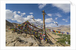 Shanti Stupa by Anonymous
