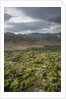 View of the town from the Monastery of the Palace by Anonymous