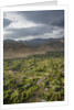 View of the town from the Monastery of the Palace by Anonymous