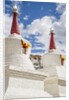 Stupa in the village near Thikse Monastery by Anonymous