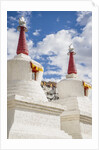Stupa in the village near Thikse Monastery by Anonymous