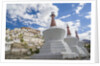 Stupa in the village near Thikse Monastery by Anonymous