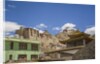 View of the town and the Royal Palace by Anonymous