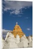 Beautiful Stupa in downtown by Anonymous