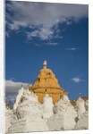 Beautiful Stupa in downtown by Anonymous