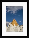 Beautiful Stupa in downtown by Anonymous
