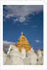Beautiful Stupa in downtown by Anonymous