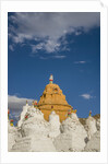 Beautiful Stupa in downtown by Anonymous