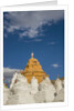 Beautiful Stupa in downtown by Anonymous