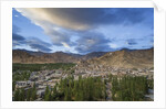 View of the town from a small hill near main bazaar by Anonymous