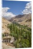 On the road to Likir by Anonymous