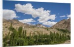 Likir Monastery by Anonymous