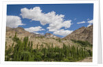 Likir Monastery by Anonymous