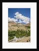 Likir Monastery by Anonymous