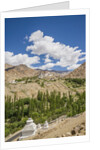 Likir Monastery by Anonymous