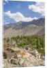 Drying apricots at Alchi village by Anonymous
