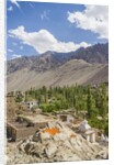 Drying apricots at Alchi village by Anonymous