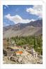 Drying apricots at Alchi village by Anonymous