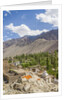 Drying apricots at Alchi village by Anonymous