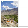Drying apricots at Alchi village by Anonymous
