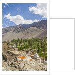 Drying apricots at Alchi village by Anonymous