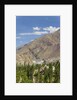 Alchi, the Dam along Indus River by Anonymous