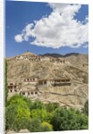 Lamayuru Monastery by Anonymous