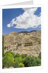 Lamayuru Monastery by Anonymous