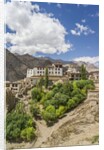 Lamayuru Monastery by Anonymous