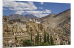 Lamayuru Monastery by Anonymous