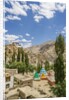 Lamayuru Monastery by Anonymous
