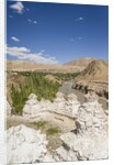 Alchi, stupas along Indus River by Anonymous