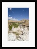 Alchi, stupas along Indus River by Anonymous