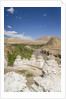 Alchi, stupas along Indus River by Anonymous