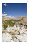 Alchi, stupas along Indus River by Anonymous